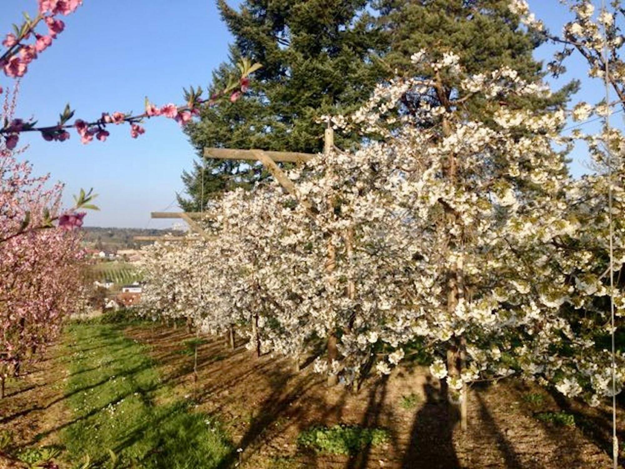 Ferienwohnung Seeblick Nonnenhorn Esterno foto